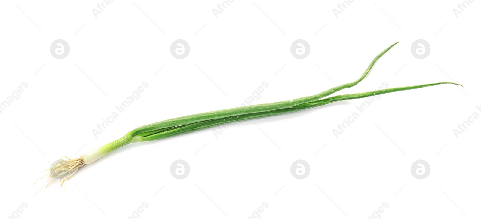 Photo of Fresh green onion on white background