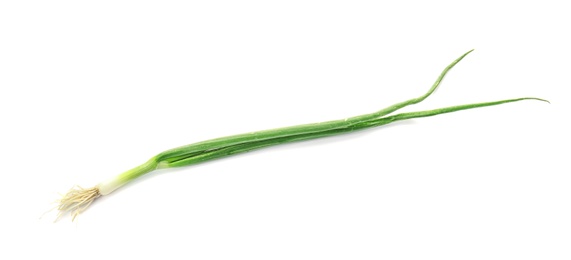 Photo of Fresh green onion on white background