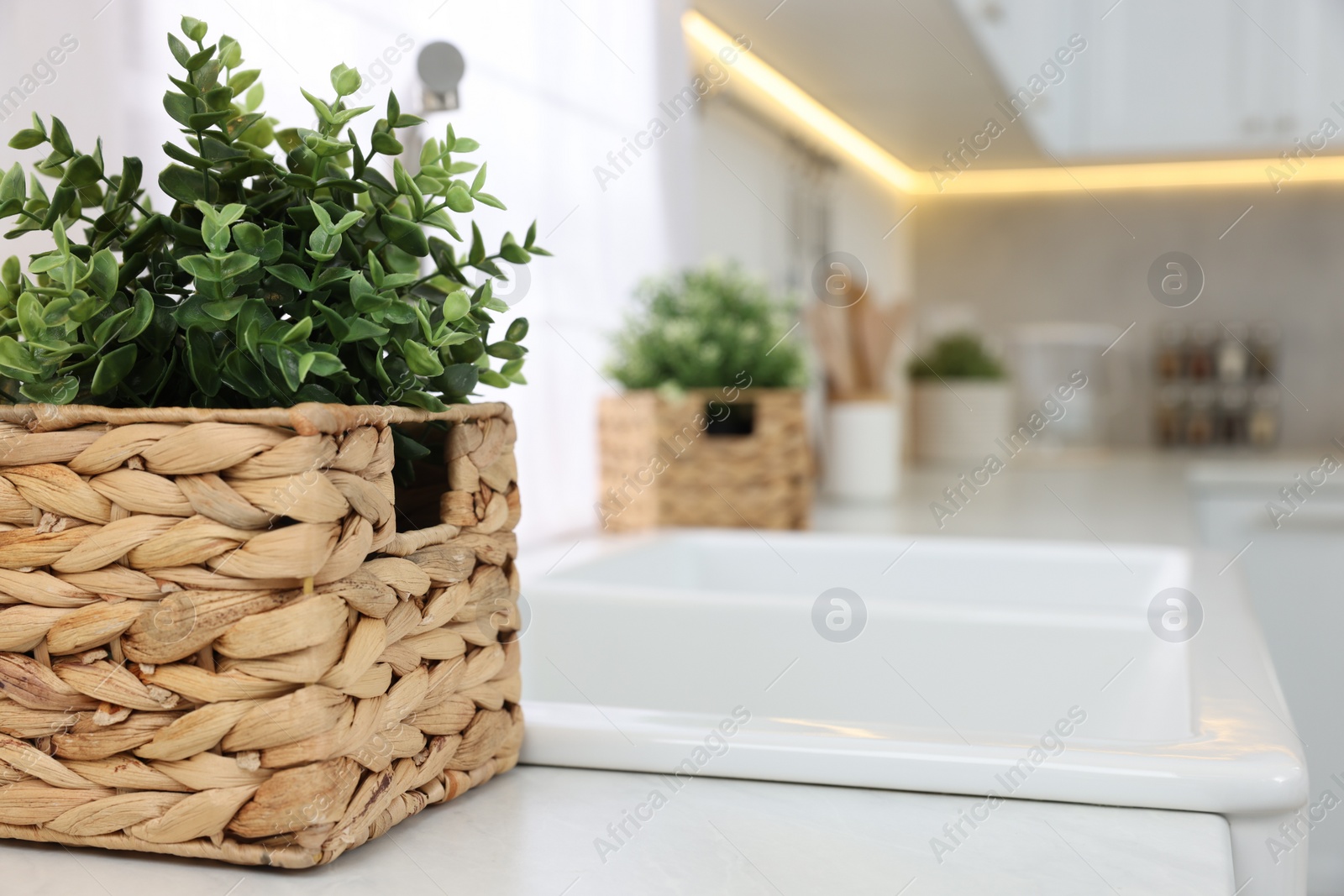 Photo of Beautiful potted artificial plant on countertop in kitchen, space for text. Home decor