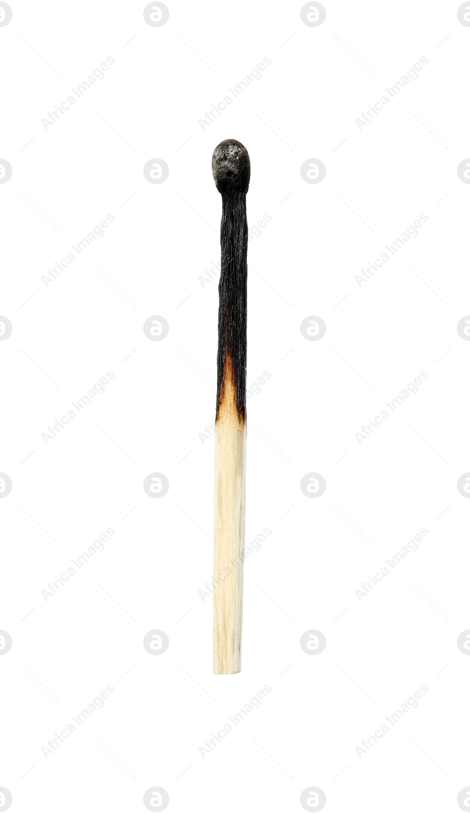 Photo of One burnt match isolated on white. Tool for starting fire