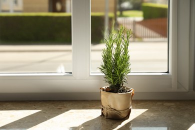 Photo of Potted rosemary on windowsill indoors, space for text. Aromatic herb