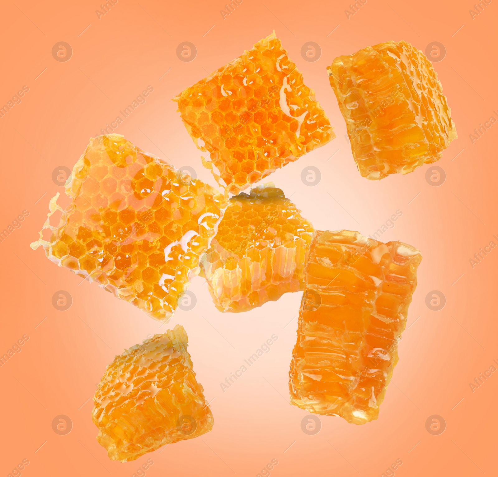 Image of Pieces of honeycomb falling on coral background