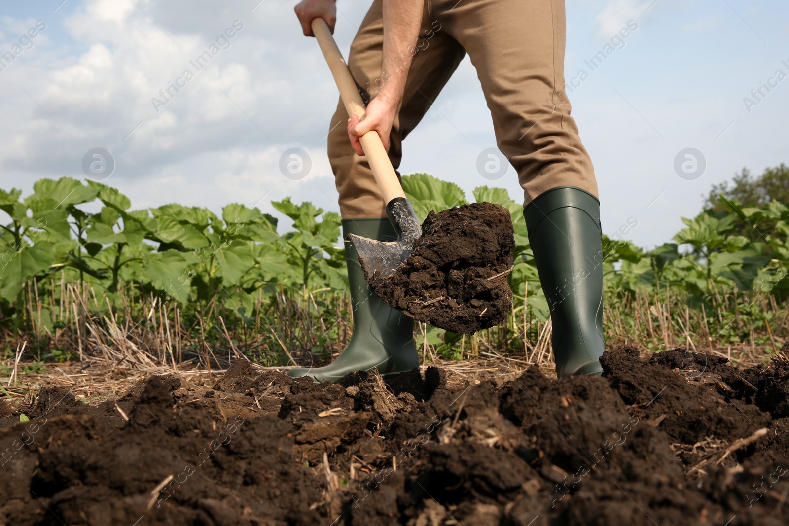 Photo of Worker digging soil with shovel outdoors, closeup