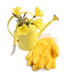 Photo of Pair of gloves, gardening tools and blooming plant on white background