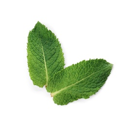 Fresh green mint leaves on white background