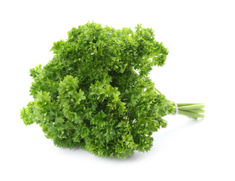 Photo of Bunch of fresh curly parsley on white background