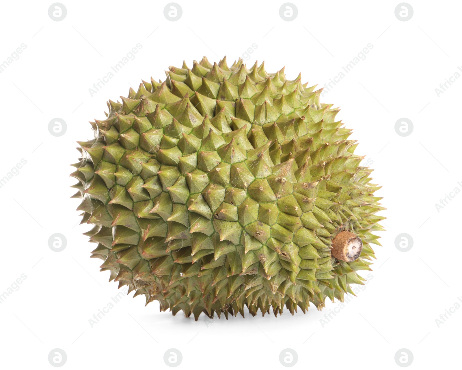 Photo of One whole ripe durian isolated on white