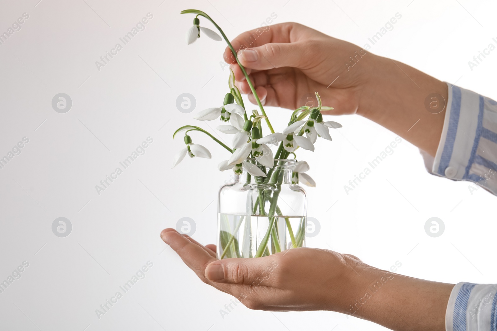 Photo of Woman holding glass jar with snowdrops on light background, closeup