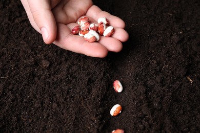 Photo of Woman with beans near fertile soil, closeup. Vegetable seeds