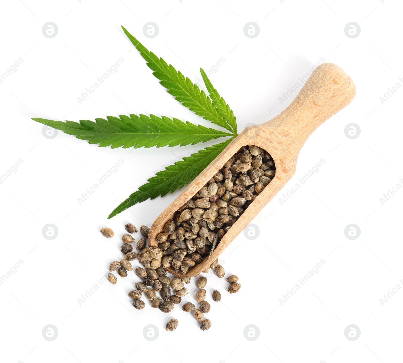 Photo of Wooden scoop with hemp seeds and leaf on white background, top view