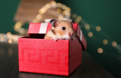 Photo of Cute little hamster looking out of gift box on wooden table, closeup