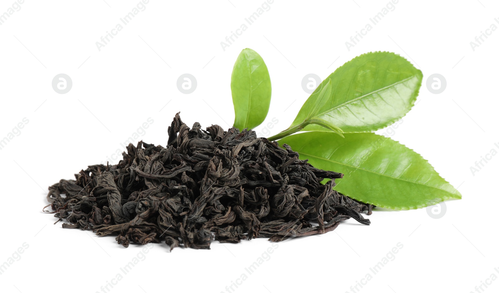 Photo of Fresh and dry leaves of tea plant on white background