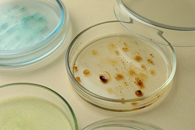Photo of Petri dishes with different bacteria colonies on beige background, closeup