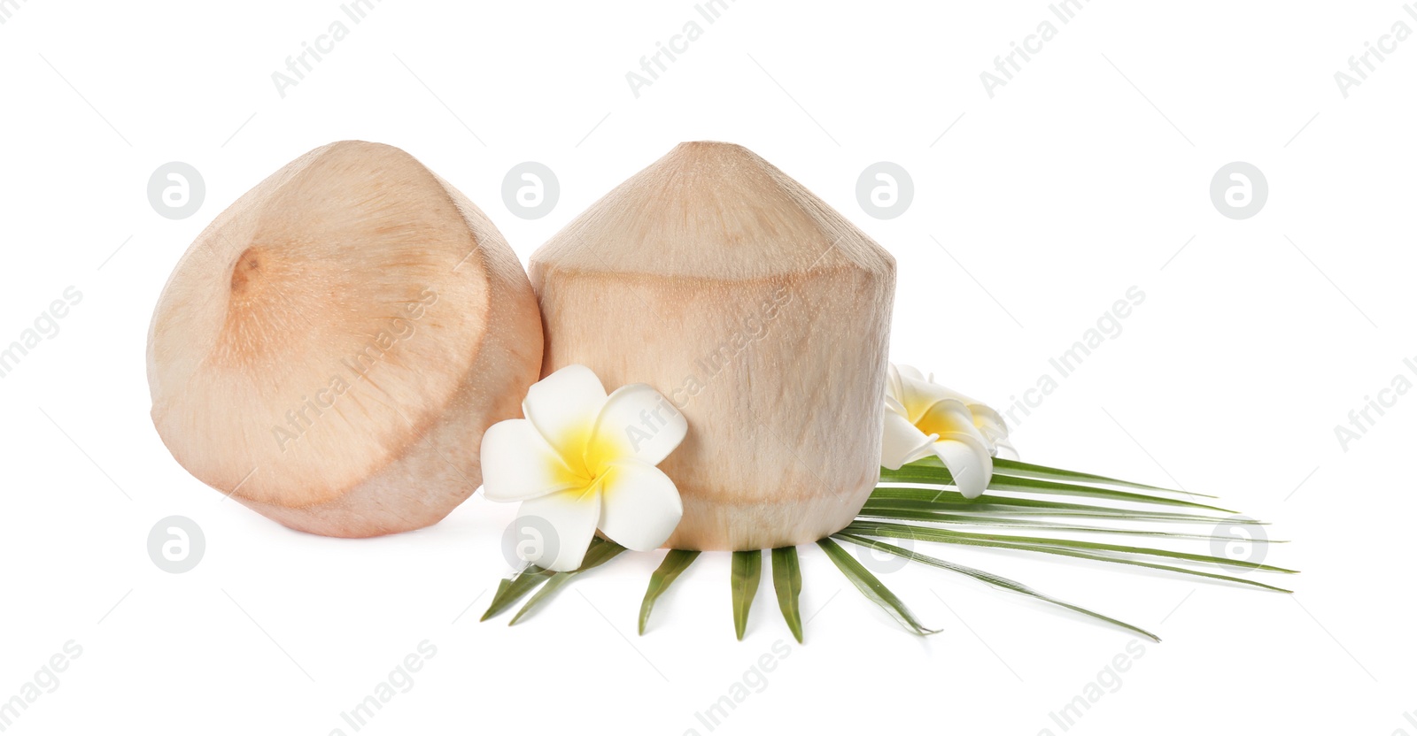 Photo of Young peeled coconuts with palm leaf and beautiful flowers on white background