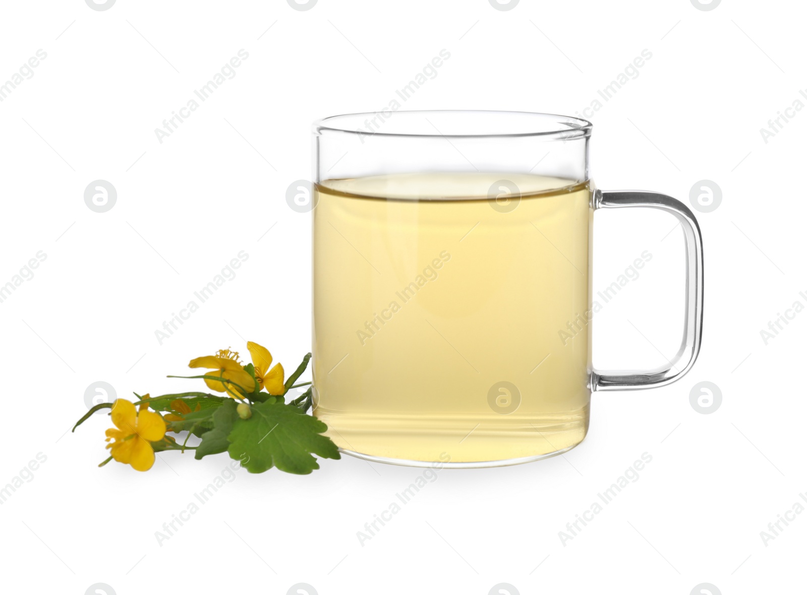 Photo of Glass cup of aromatic celandine tea and flowers on white background