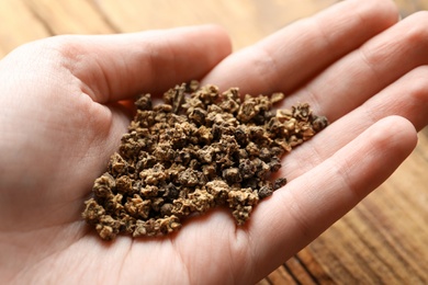 Woman holding pile of beet seeds over table, closeup. Vegetable planting