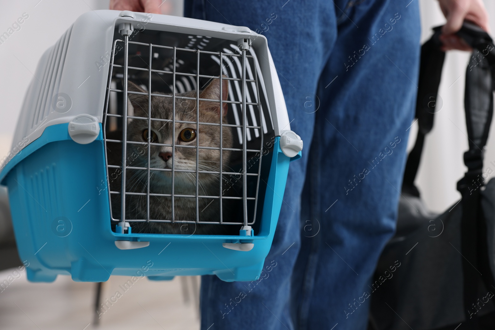 Photo of Travel with pet. Man holding carrier with cute cat and bag indoors, closeup