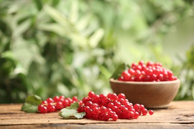 Photo of Ripe red currants on wooden table against blurred background. Space for text