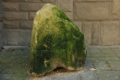 Stone covered green moss on pavement outdoors