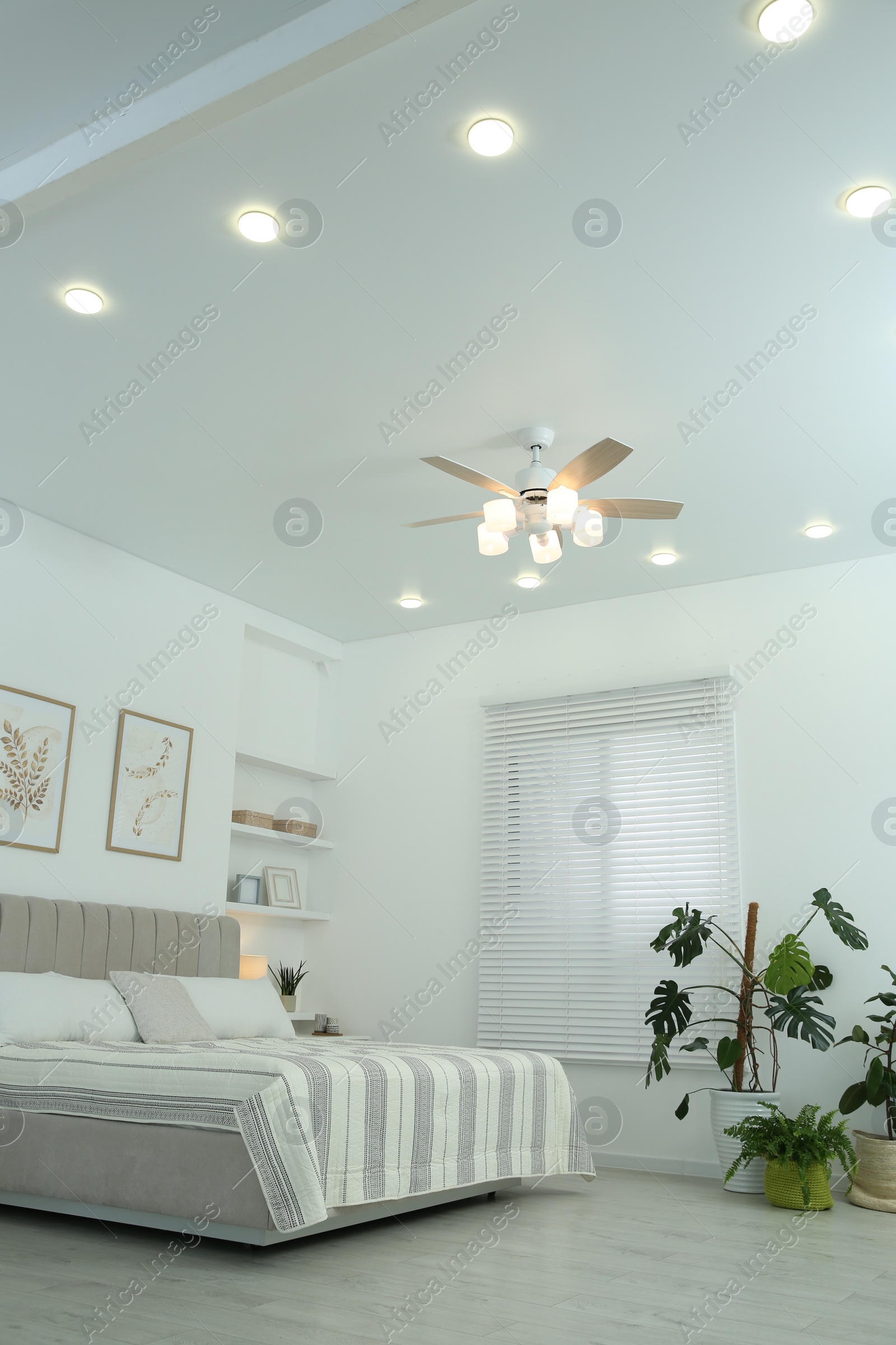 Photo of Comfortable furniture, ceiling fan, houseplants and accessories in stylish bedroom, low angle view