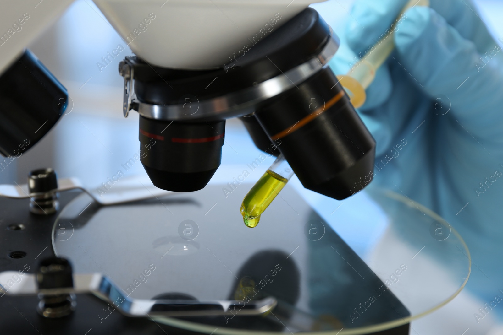 Photo of Laboratory assistant doing analysis with urine sample and microscope, closeup