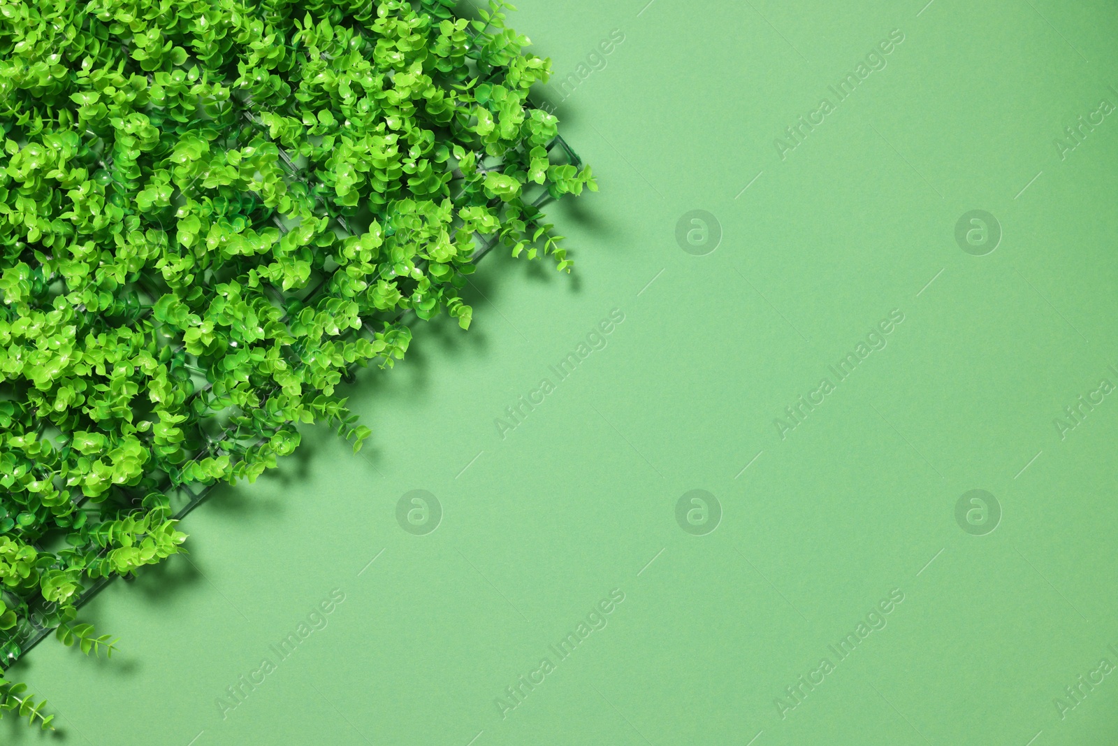 Photo of Green artificial plants on color background, top view. Space for text