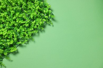 Green artificial plants on color background, top view. Space for text