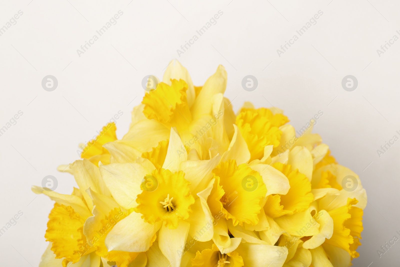 Photo of Bouquet of beautiful yellow daffodils on beige background, closeup