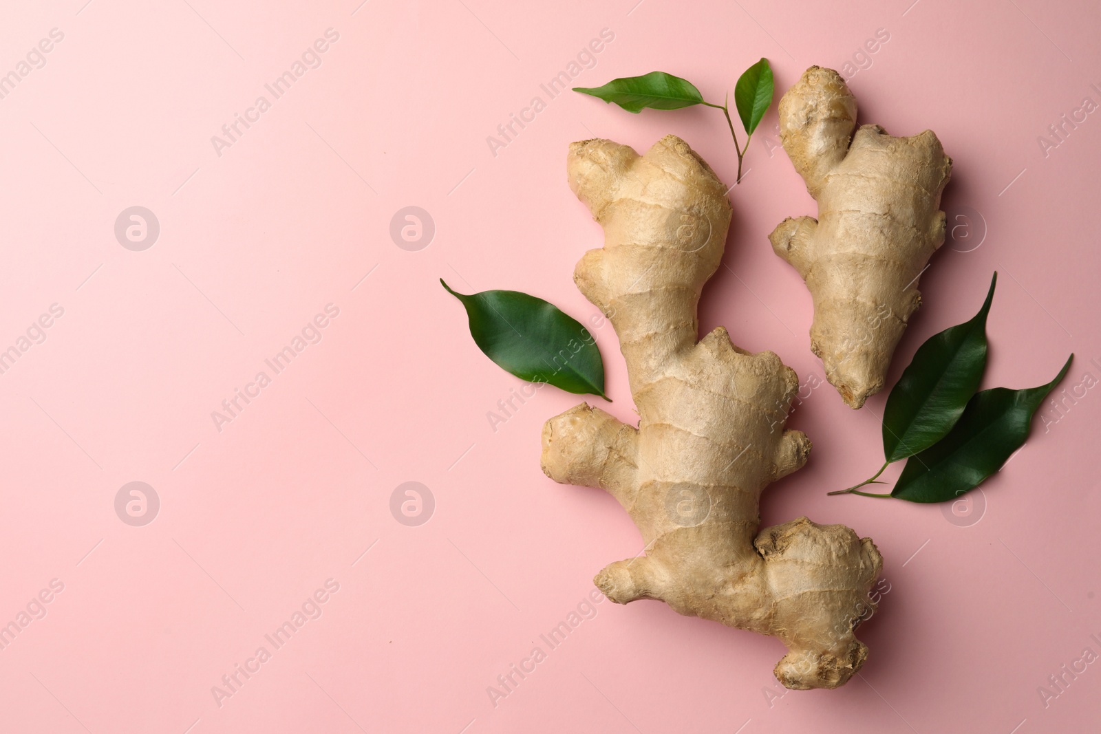 Photo of Fresh ginger with green leaves on pale pink background, flat lay. Space for text