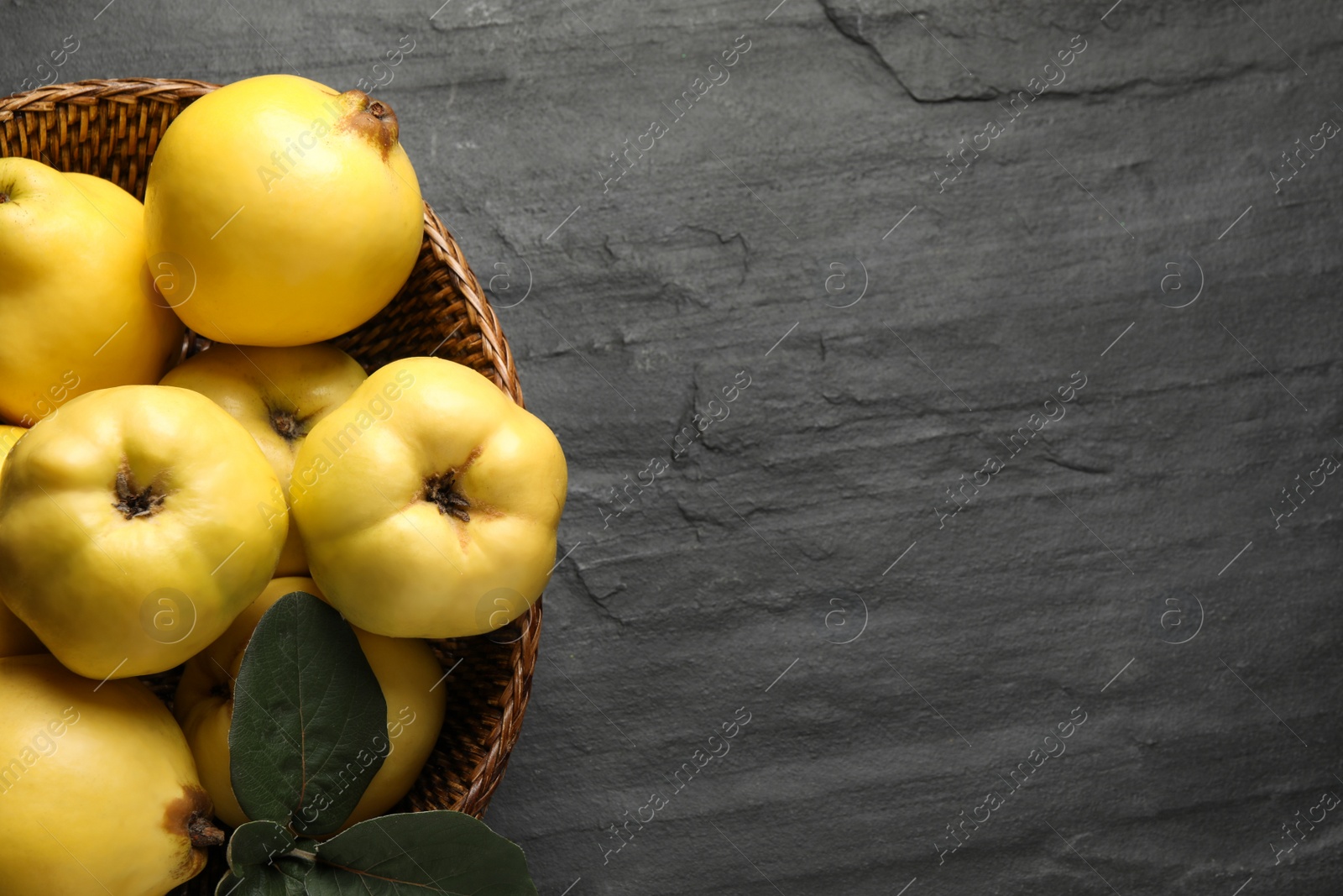 Photo of Fresh ripe organic quinces with leaves on black table, top view. Space for text