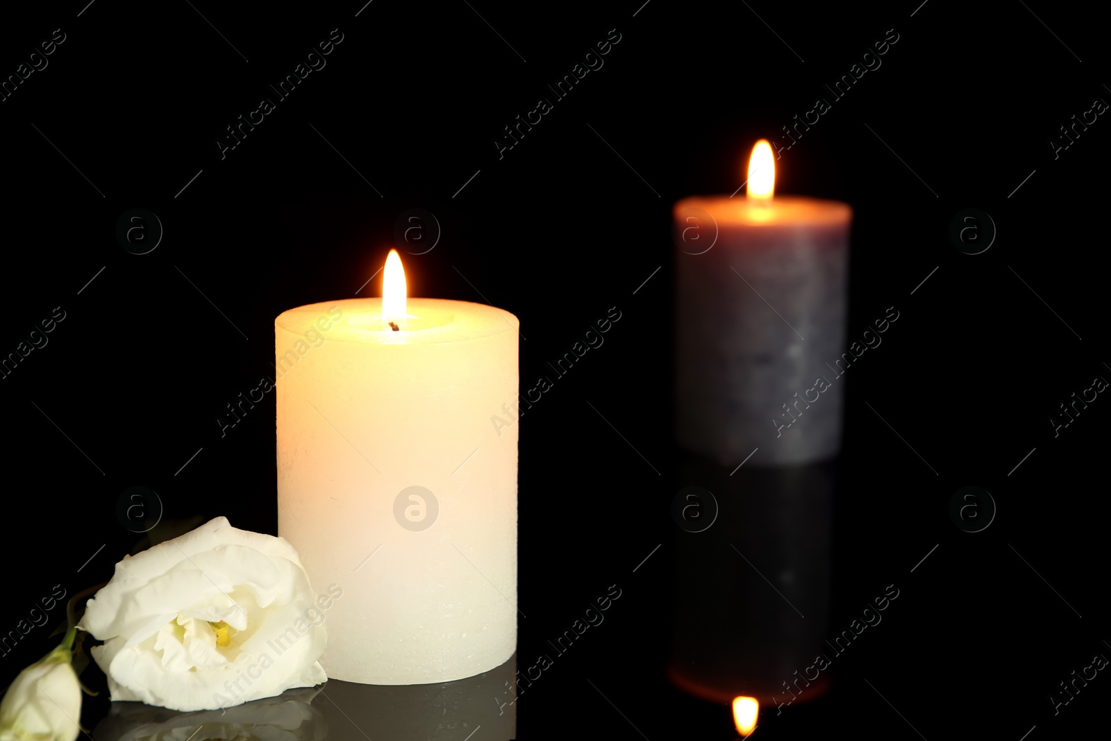 Photo of Burning decorative candles with flower on black background