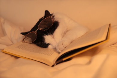 Photo of Cute cat with glasses and book sleeping on bed at home, closeup