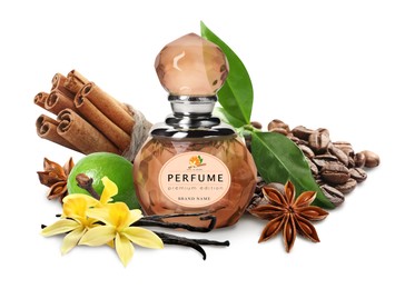 Image of Bottle of perfume and different spices on white background