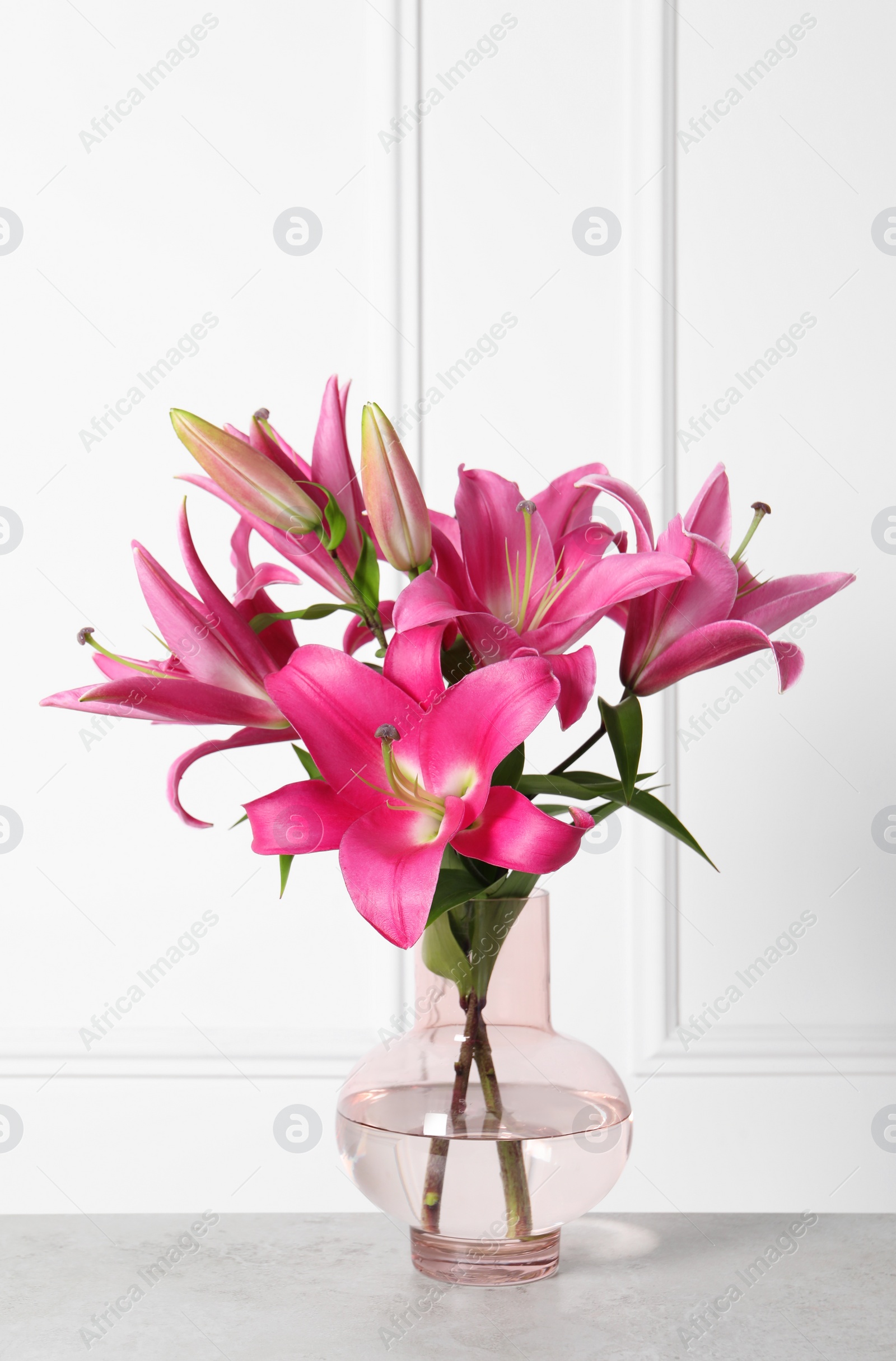 Photo of Beautiful pink lily flowers in vase on light grey table against white wall