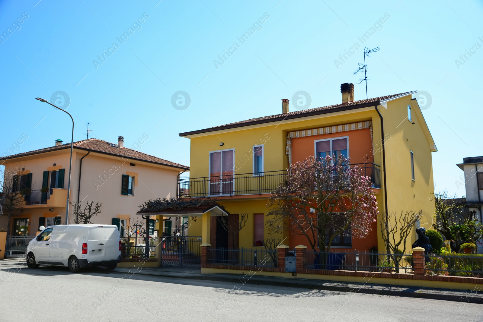 Photo of Picturesque view of town with beautiful buildings and blooming magnolia tree on sunny day