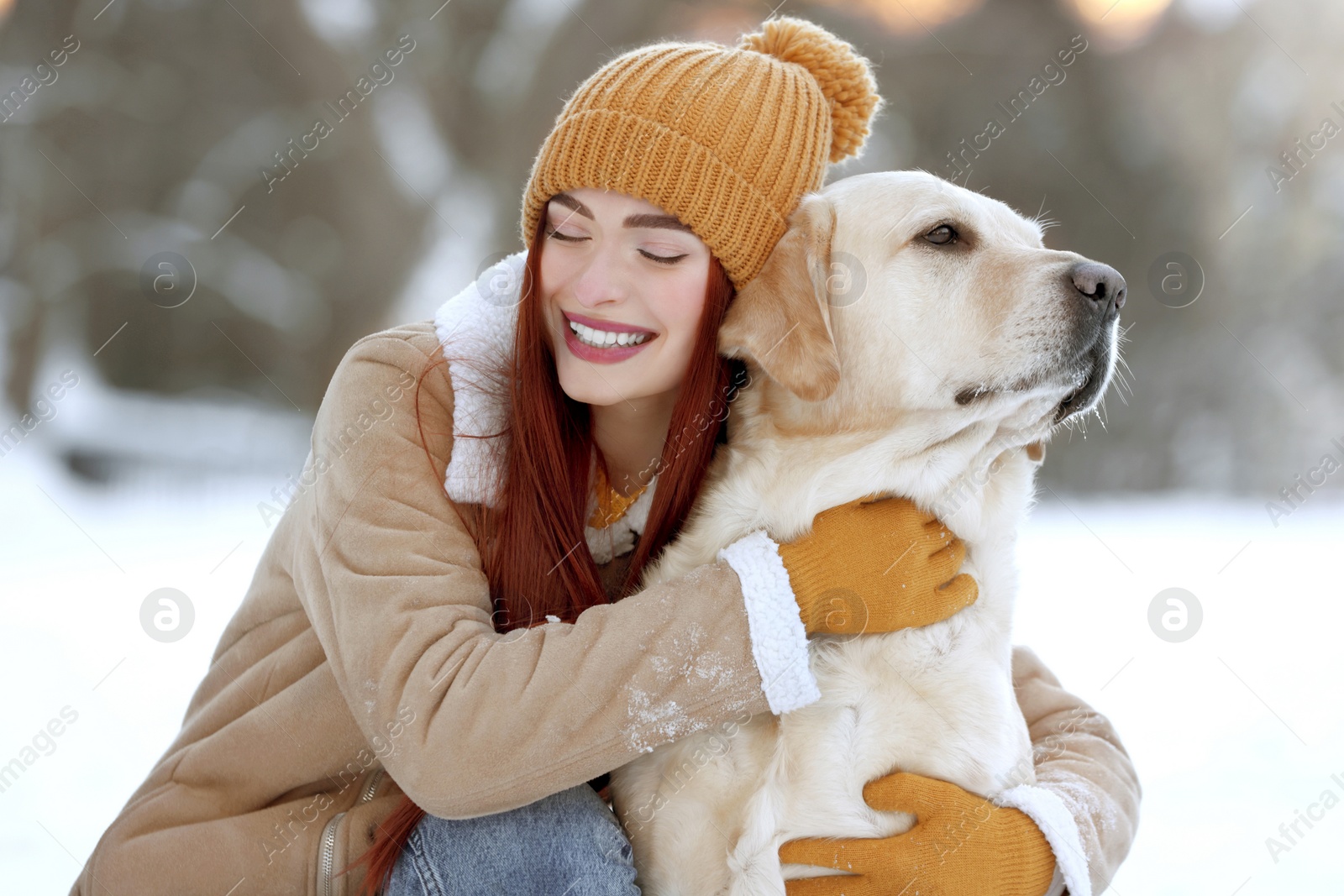 Photo of Beautiful young woman hugging cute Labrador Retriever on winter day outdoors