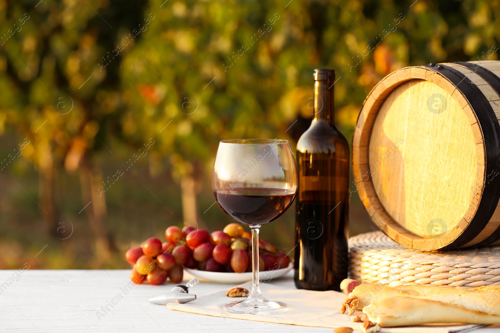 Photo of Composition with wine and snacks on white wooden table at vineyard