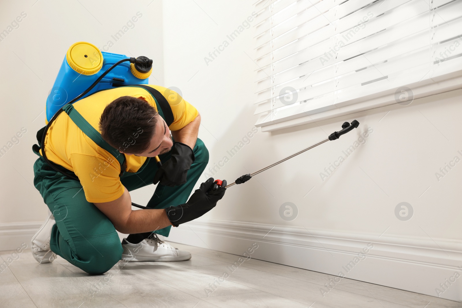 Photo of Pest control worker spraying insecticide on window sill at home