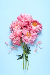 Photo of Bunch of beautiful pink peonies and petals on light turquoise background, flat lay