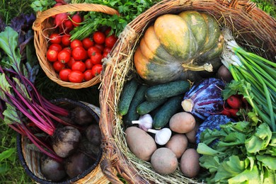 Photo of Different fresh ripe vegetables on green grass, top view