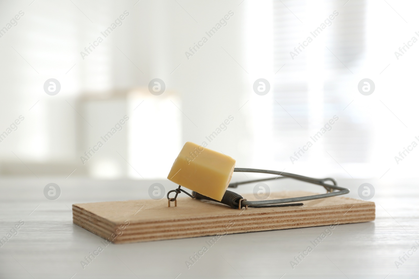 Photo of Mousetrap with piece of cheese indoors. Pest control