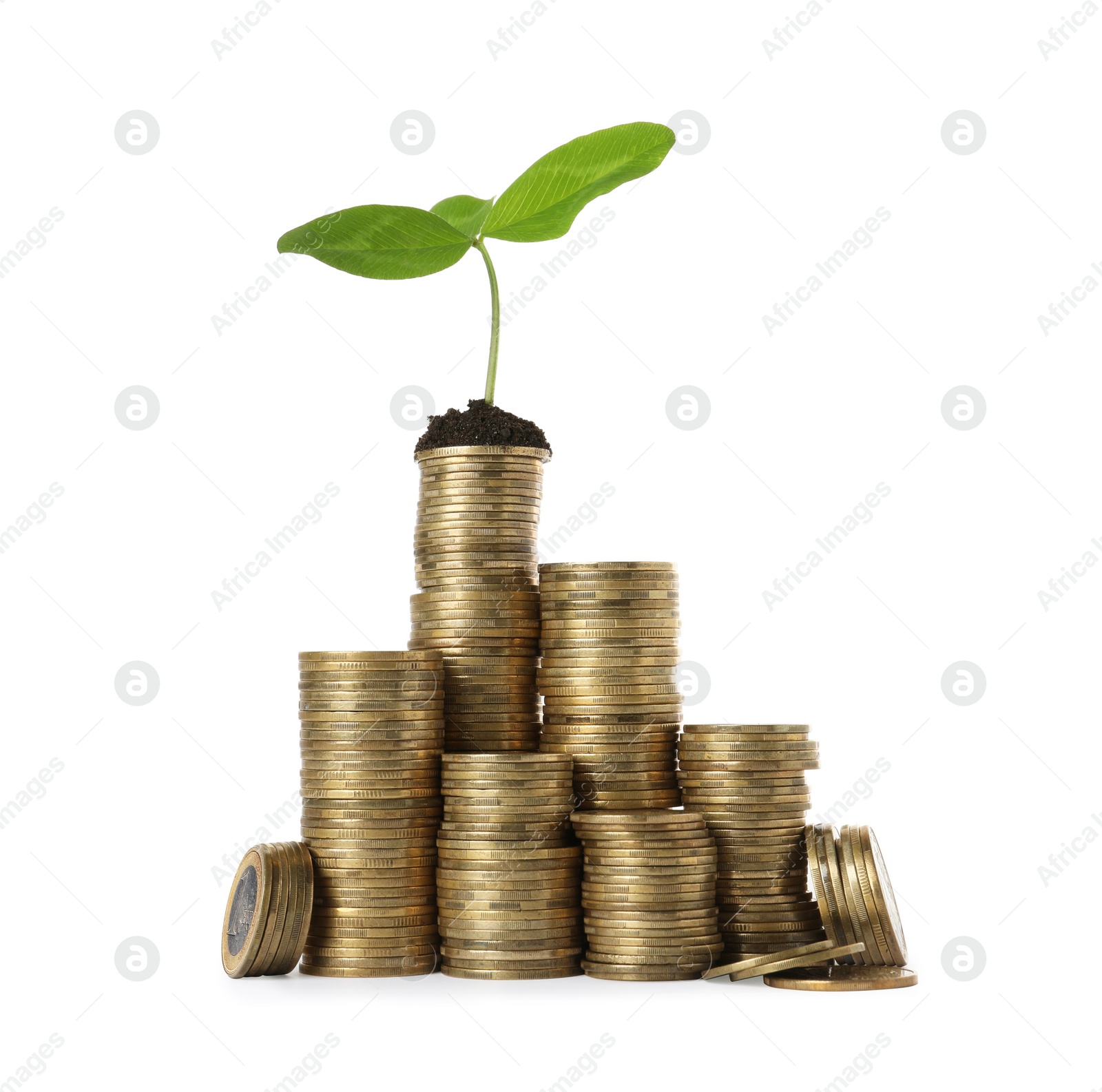 Photo of Stacked coins and green sprout isolated on white