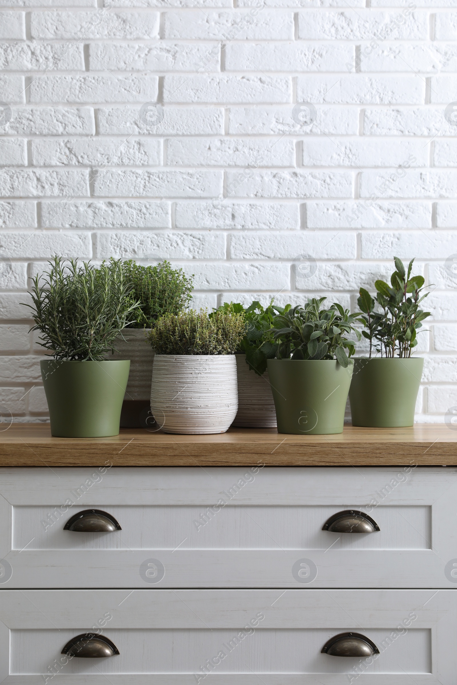 Photo of Different aromatic potted herbs on chest of drawers near white brick wall