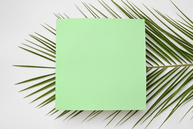Photo of Beautiful composition with tropical leaves on light background, top view