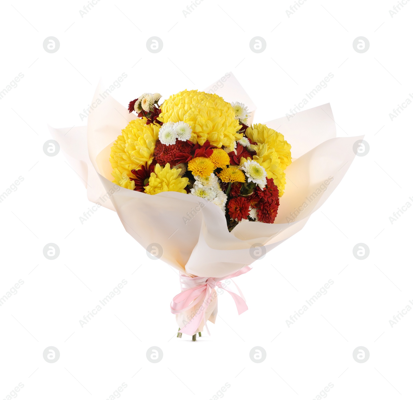 Photo of Bouquet of beautiful chrysanthemum flowers isolated on white