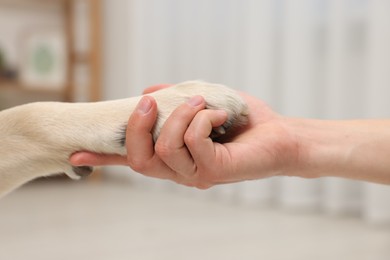 Photo of Dog giving paw to man at home, closeup