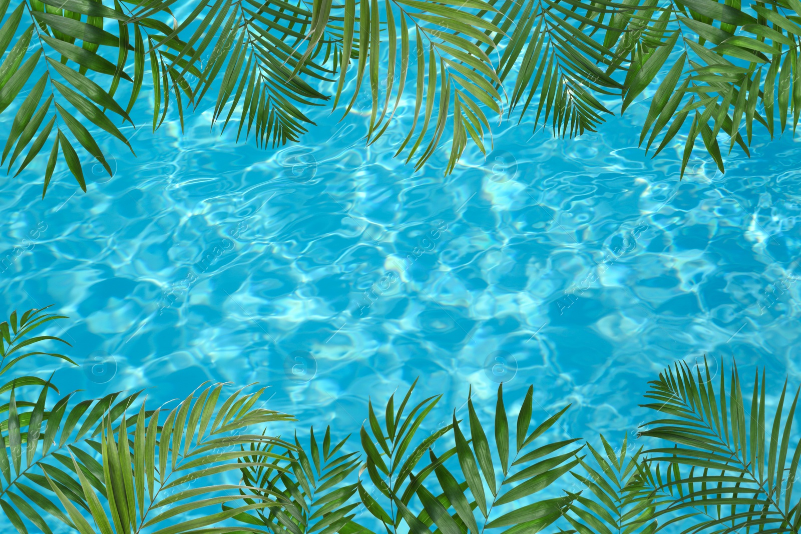 Image of View of beautiful green tropical leaves and outdoor swimming pool as background