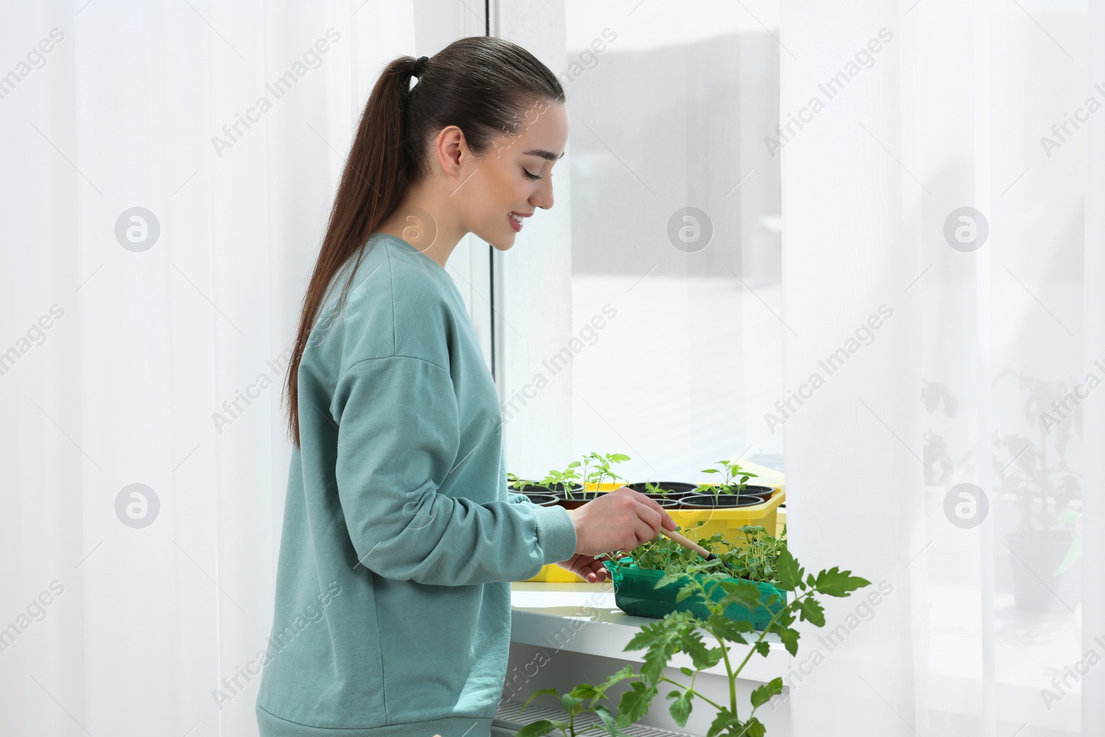 Photo of Happy woman planting seedlings into plastic container on windowsill indoors