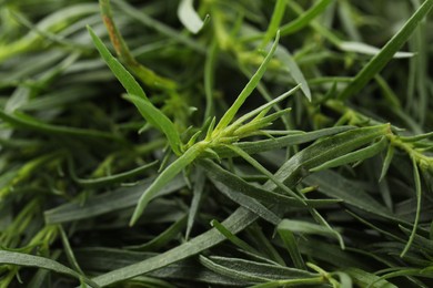 Photo of Fresh tarragon sprigs on blurred background, closeup