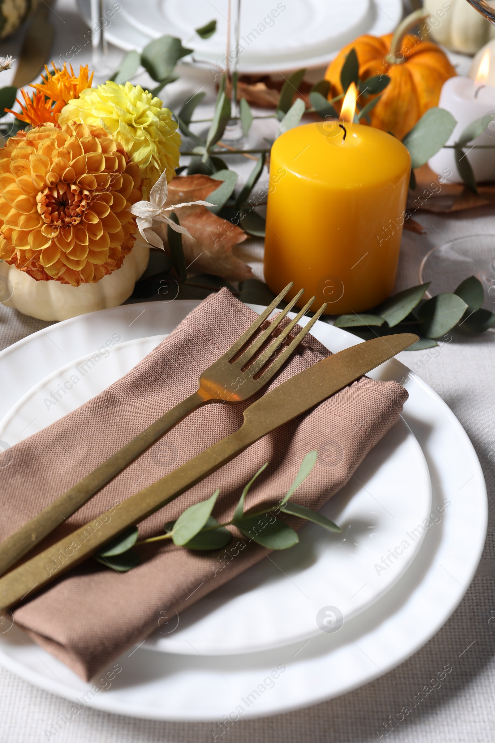 Photo of Beautiful autumn table setting with floral decor, closeup